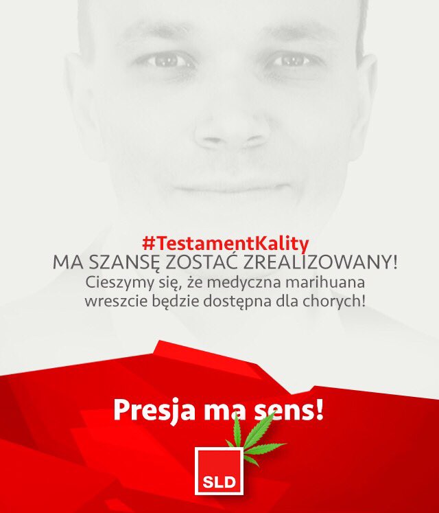 Marihuana lecznicza została wprowadzona w drodze ustawy